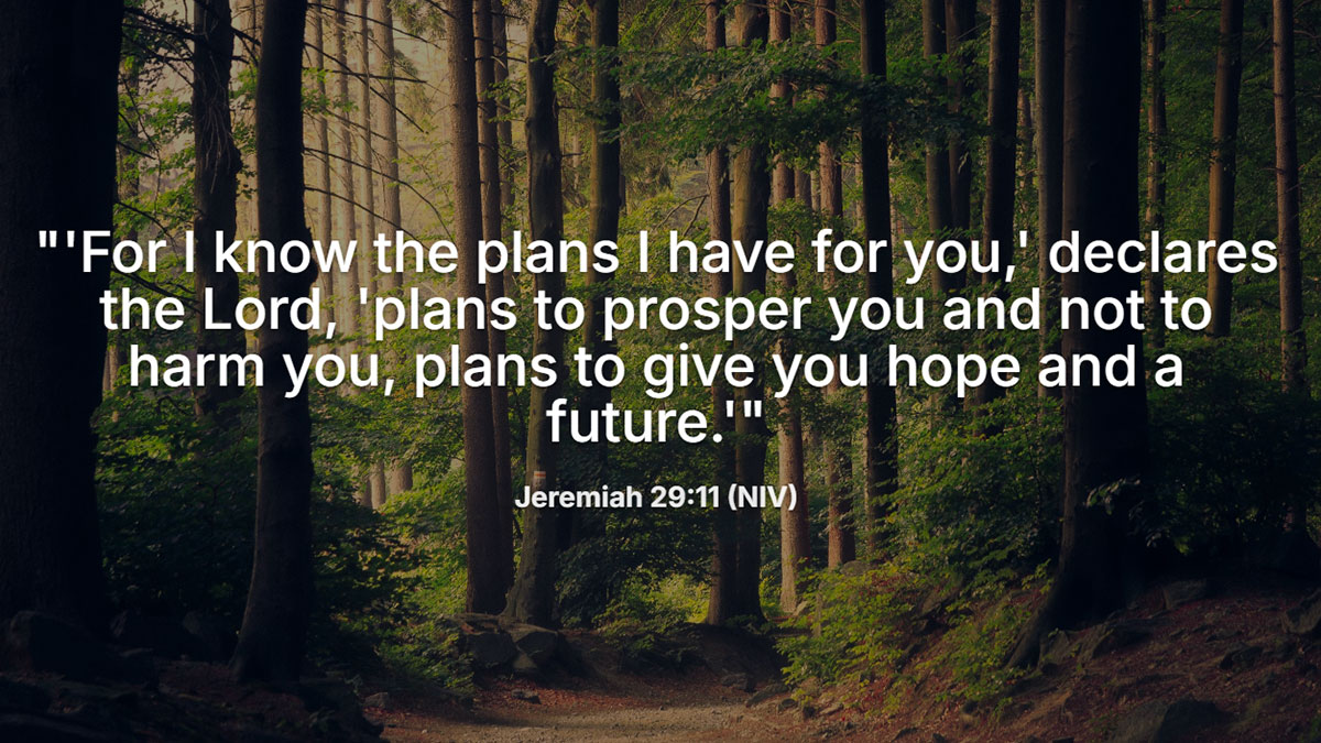 Shareable graphic featuring the encouraging birthday Bible verse Jeremiah 29:11 about God's plans to give you hope and a future.