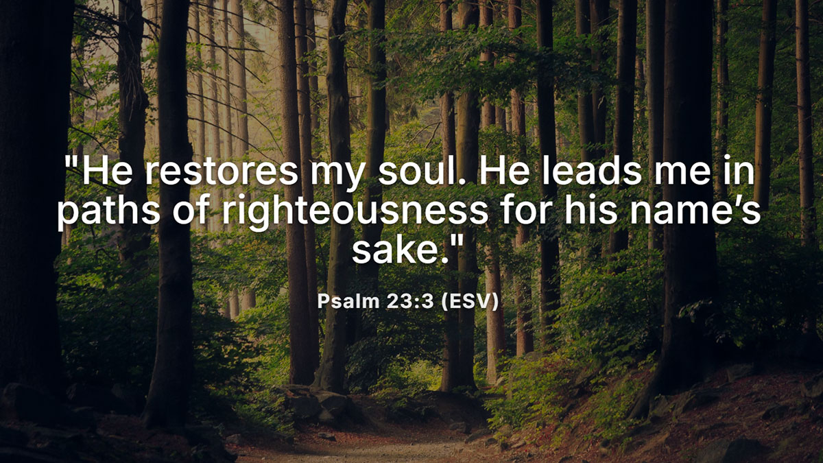 Bible verse about restoration from Psalm 23:3 with forest trail background, He restores my soul scripture image