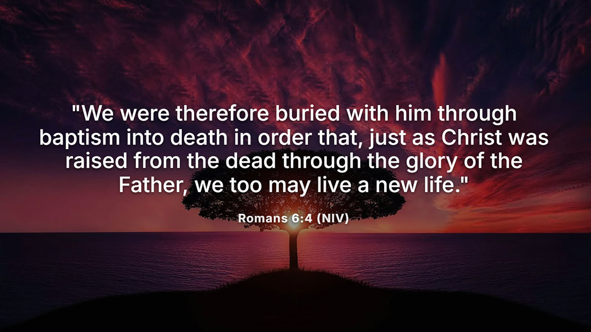 Bible verses for my daughter – Romans 6:4 scripture with radiant tree silhouette at sunset, symbolizing new life in Christ through faith and baptism.