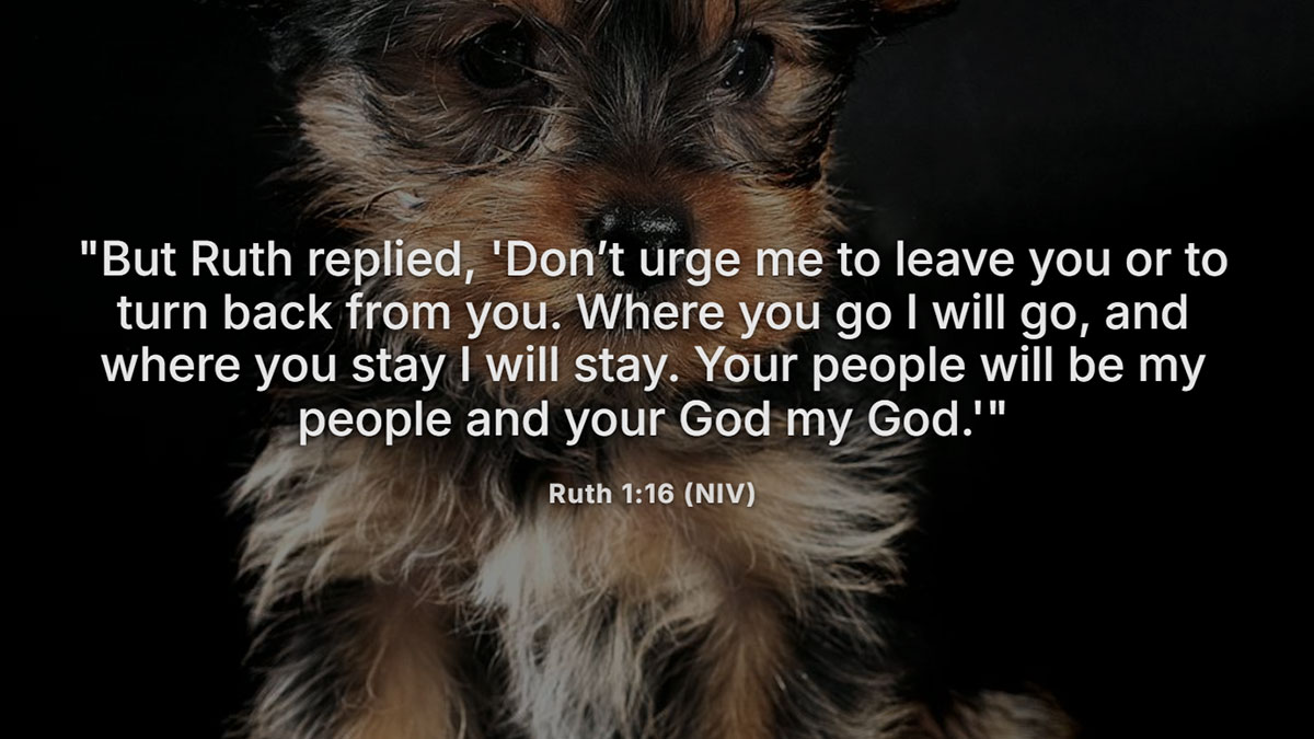 Bible verses for my daughter – Ruth 1:16 wedding scripture with a cute puppy background, expressing loyalty, love, and lifelong commitment.