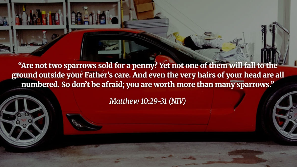 God is in Control Bible Verses - Matthew 10:29 - 31 reassures us of God’s deep care, knowing every sparrow and numbering each hair on our heads, reminding us not to fear.