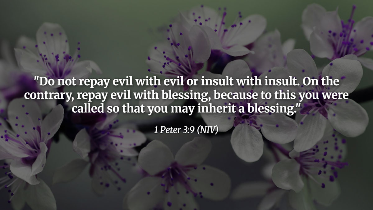 Bible verse from 1 Peter 3:9 encouraging believers to deal with disrespect by repaying evil and insults with blessing, as a path to inherit God’s favor